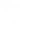 x white icon